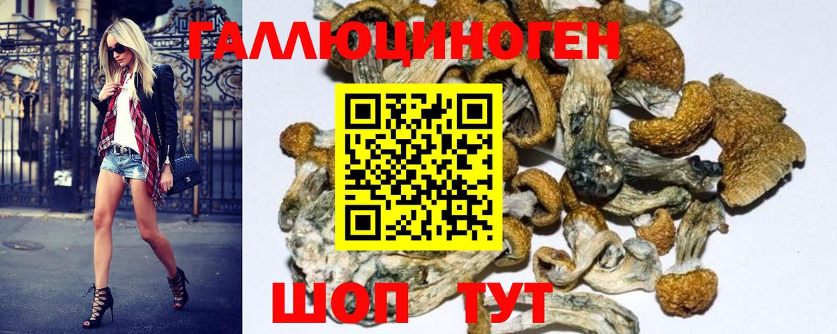 Ирбит  Псилоцибиновые грибы MAGIC MUSHROOMS  Псилоцибиновые грибы ЛСД  Вход с VPN 