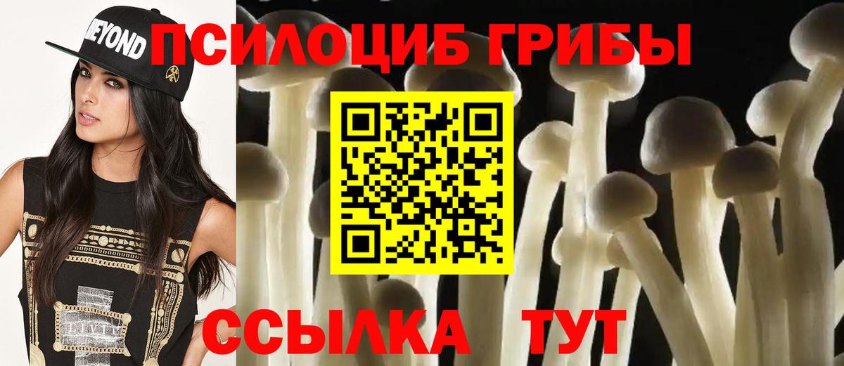 Псилоцибиновые грибы прущие грибы Ирбит
